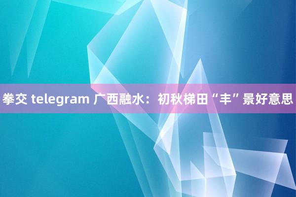 拳交 telegram 广西融水：初秋梯田“丰”景好意思