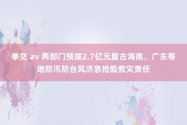 拳交 av 两部门预拨2.7亿元复古海南、广东等地防汛防台风济急抢险救灾责任