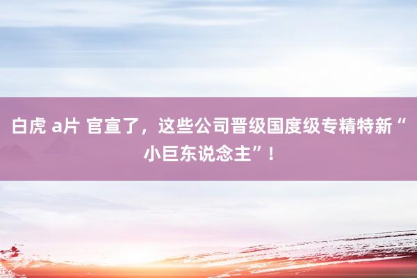 白虎 a片 官宣了，这些公司晋级国度级专精特新“小巨东说念主”！