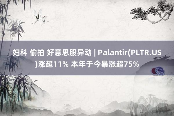 妇科 偷拍 好意思股异动 | Palantir(PLTR.US)涨超11% 本年于今暴涨超75%