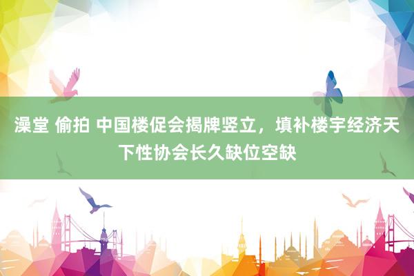 澡堂 偷拍 中国楼促会揭牌竖立，填补楼宇经济天下性协会长久缺位空缺