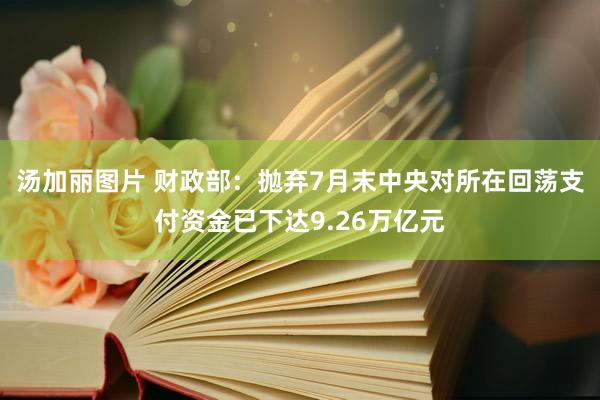 汤加丽图片 财政部：抛弃7月末中央对所在回荡支付资金已下达9.26万亿元