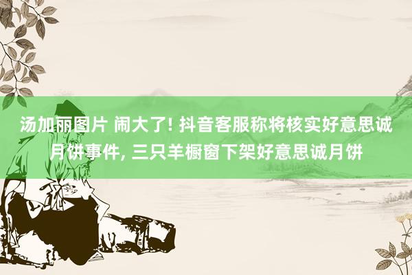 汤加丽图片 闹大了! 抖音客服称将核实好意思诚月饼事件， 三只羊橱窗下架好意思诚月饼