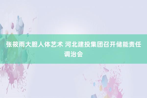 张筱雨大胆人体艺术 河北建投集团召开储能责任调治会