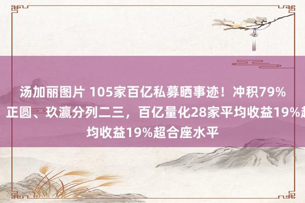 汤加丽图片 105家百亿私募晒事迹！冲积79%收益称雄、正圆、玖瀛分列二三，百亿量化28家平均收益19%超合座水平