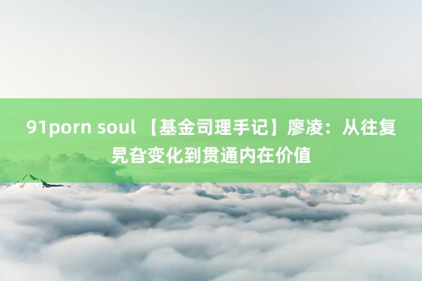 91porn soul 【基金司理手记】廖凌：从往复旯旮变化到贯通内在价值