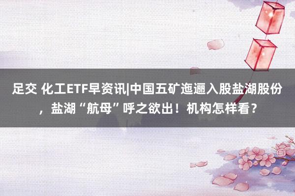 足交 化工ETF早资讯|中国五矿迤逦入股盐湖股份，盐湖“航母”呼之欲出！机构怎样看？