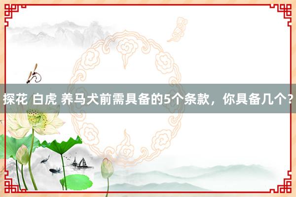 探花 白虎 养马犬前需具备的5个条款，你具备几个？