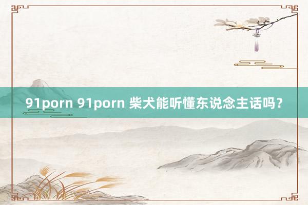 91porn 91porn 柴犬能听懂东说念主话吗？