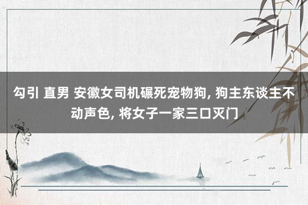 勾引 直男 安徽女司机碾死宠物狗， 狗主东谈主不动声色， 将女子一家三口灭门