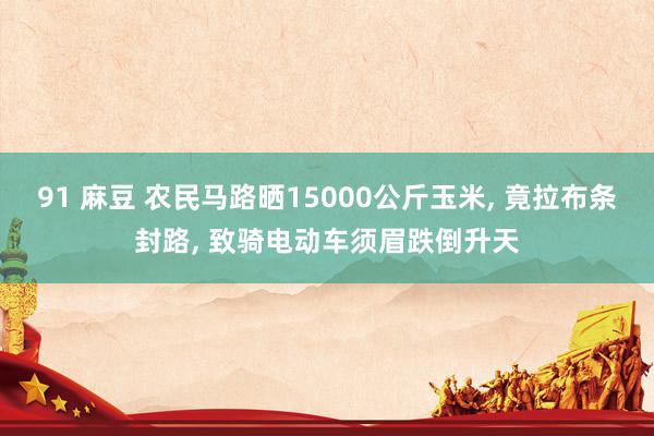 91 麻豆 农民马路晒15000公斤玉米， 竟拉布条封路， 致骑电动车须眉跌倒升天