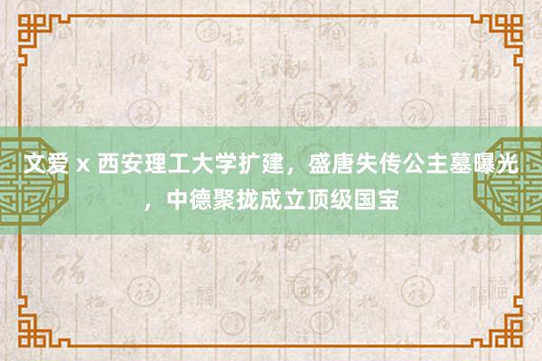 文爱 x 西安理工大学扩建，盛唐失传公主墓曝光，中德聚拢成立顶级国宝