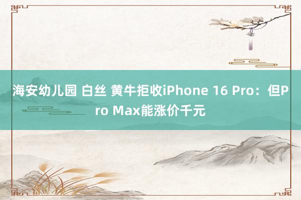 海安幼儿园 白丝 黄牛拒收iPhone 16 Pro：但Pro Max能涨价千元