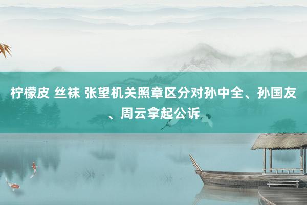 柠檬皮 丝袜 张望机关照章区分对孙中全、孙国友、周云拿起公诉