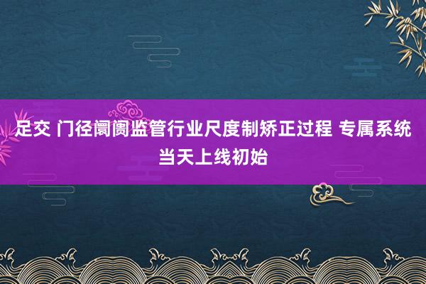 足交 门径阛阓监管行业尺度制矫正过程 专属系统当天上线初始