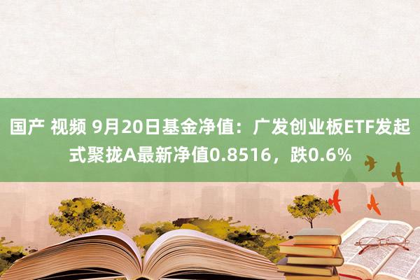 国产 视频 9月20日基金净值：广发创业板ETF发起式聚拢A最新净值0.8516，跌0.6%