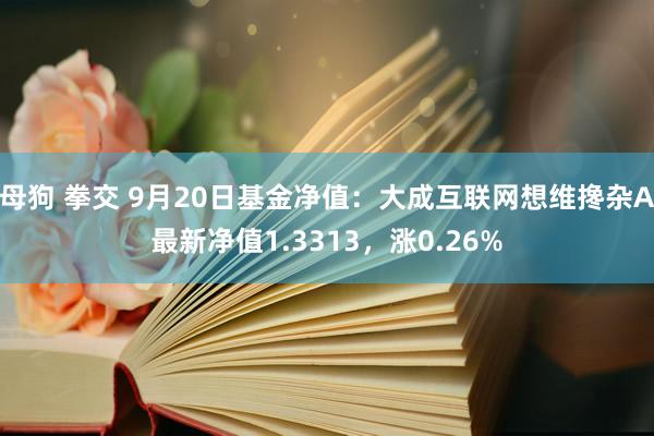 母狗 拳交 9月20日基金净值：大成互联网想维搀杂A最新净值1.3313，涨0.26%