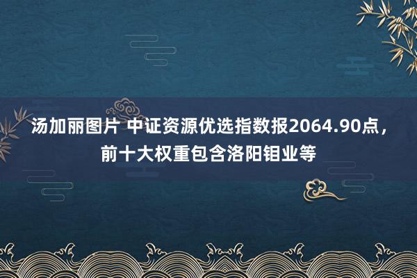 汤加丽图片 中证资源优选指数报2064.90点，前十大权重包含洛阳钼业等