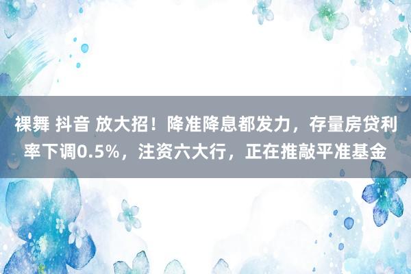 裸舞 抖音 放大招！降准降息都发力，存量房贷利率下调0.5%，注资六大行，正在推敲平准基金