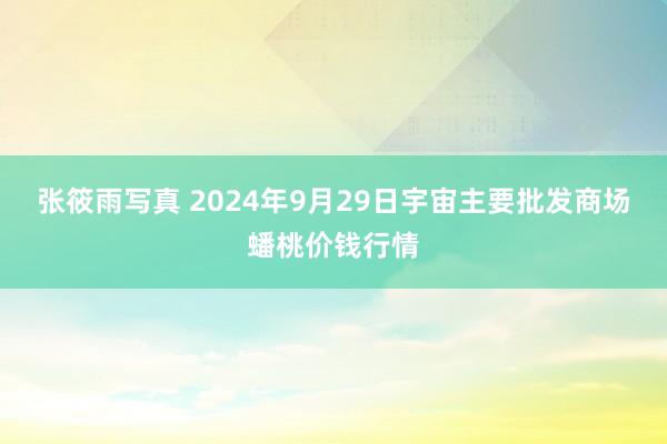 张筱雨写真 2024年9月29日宇宙主要批发商场蟠桃价钱行情