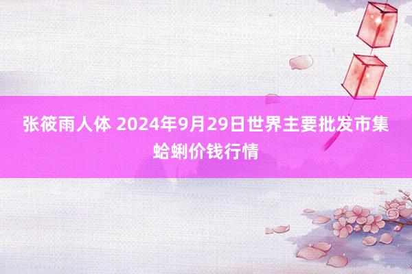 张筱雨人体 2024年9月29日世界主要批发市集蛤蜊价钱行情