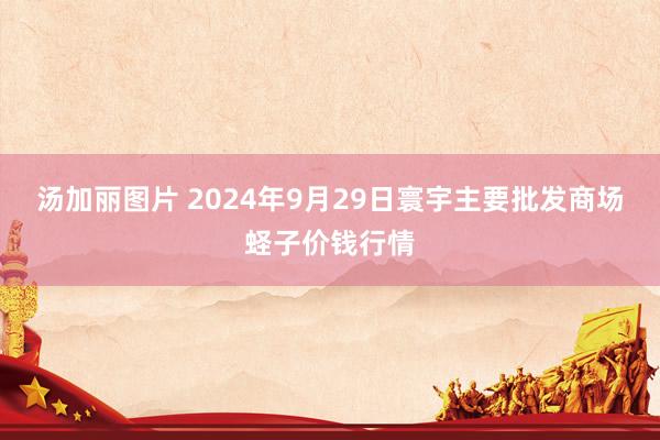 汤加丽图片 2024年9月29日寰宇主要批发商场蛏子价钱行情