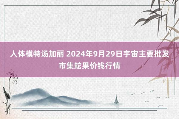 人体模特汤加丽 2024年9月29日宇宙主要批发市集蛇果价钱行情