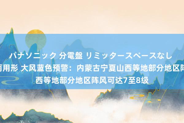 パナソニック 分電盤 リミッタースペースなし 露出・半埋込両用形 大风蓝色预警：内蒙古宁夏山西等地部分地区阵风可达7至8级