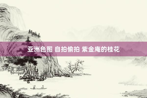 亚洲色图 自拍偷拍 紫金庵的桂花