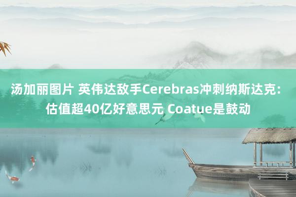 汤加丽图片 英伟达敌手Cerebras冲刺纳斯达克: 估值超40亿好意思元 Coatue是鼓动