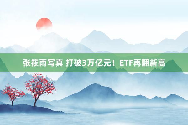 张筱雨写真 打破3万亿元！ETF再翻新高