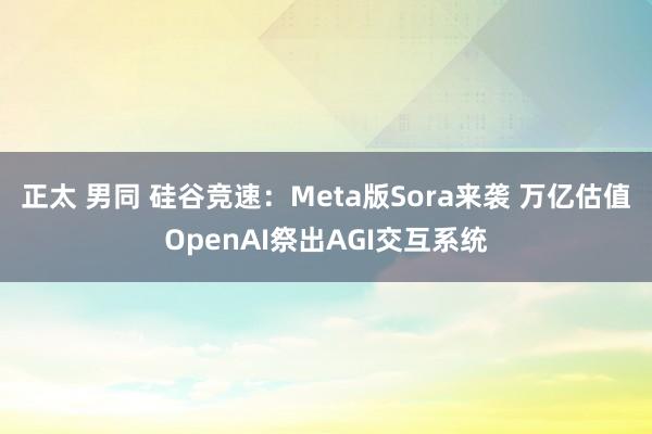 正太 男同 硅谷竞速：Meta版Sora来袭 万亿估值OpenAI祭出AGI交互系统