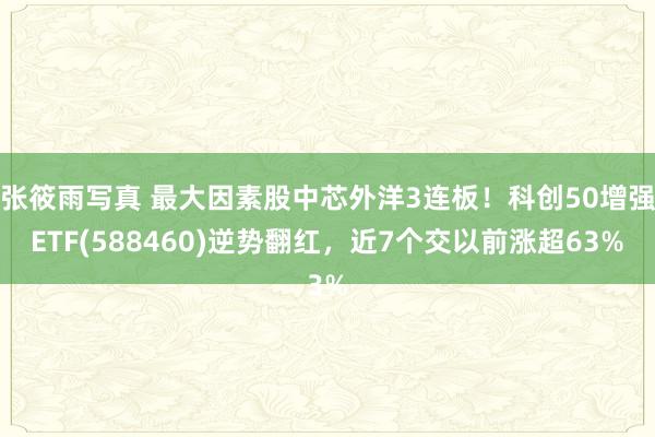 张筱雨写真 最大因素股中芯外洋3连板！科创50增强ETF(588460)逆势翻红，近7个交以前涨超63%