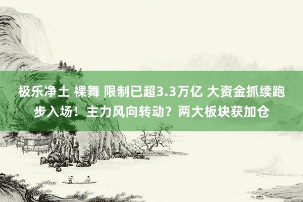 极乐净土 裸舞 限制已超3.3万亿 大资金抓续跑步入场！主力风向转动？两大板块获加仓