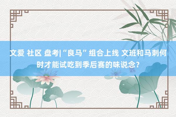 文爱 社区 盘考|“良马”组合上线 文班和马刺何时才能试吃到季后赛的味说念？