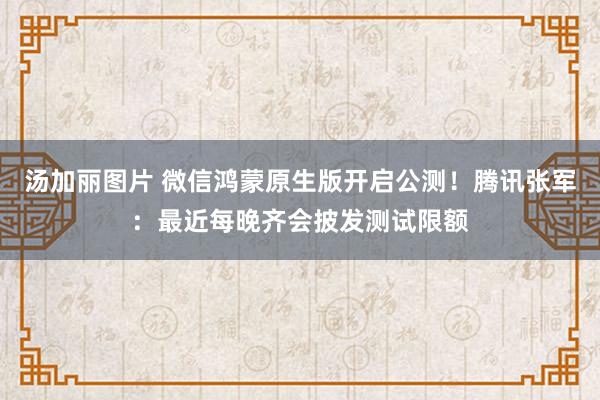 汤加丽图片 微信鸿蒙原生版开启公测！腾讯张军：最近每晚齐会披发测试限额