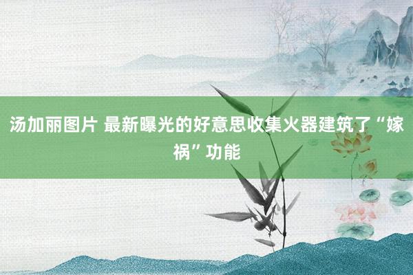 汤加丽图片 最新曝光的好意思收集火器建筑了“嫁祸”功能