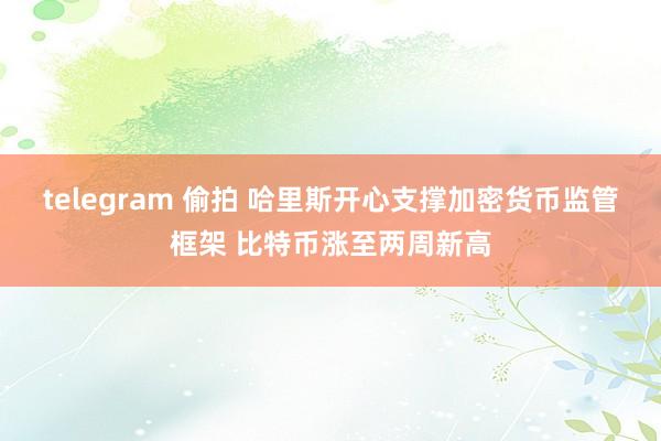 telegram 偷拍 哈里斯开心支撑加密货币监管框架 比特币涨至两周新高