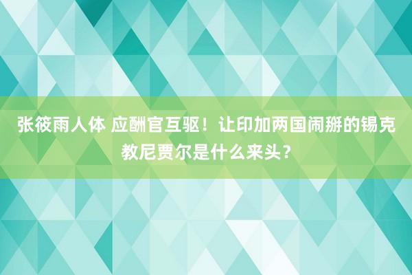 张筱雨人体 应酬官互驱！让印加两国闹掰的锡克教尼贾尔是什么来头？