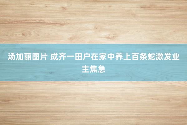 汤加丽图片 成齐一田户在家中养上百条蛇激发业主焦急