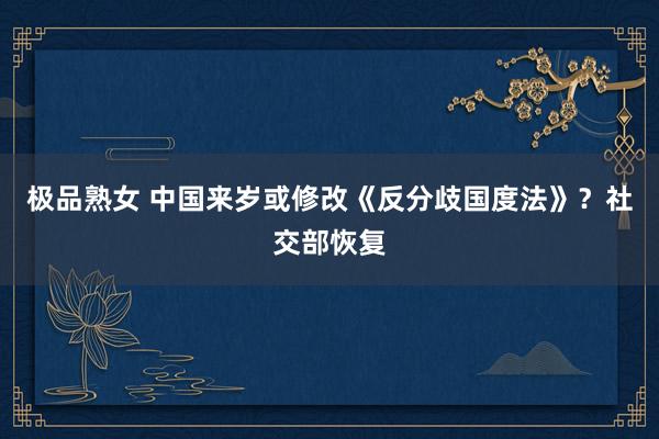 极品熟女 中国来岁或修改《反分歧国度法》？社交部恢复