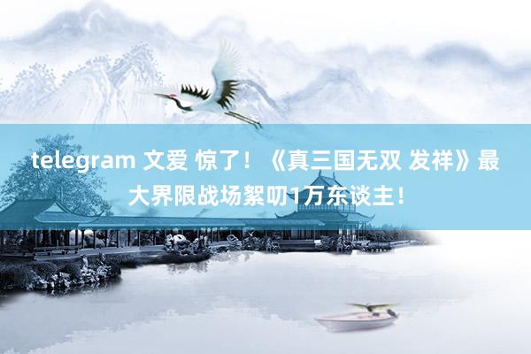 telegram 文爱 惊了！《真三国无双 发祥》最大界限战场絮叨1万东谈主！