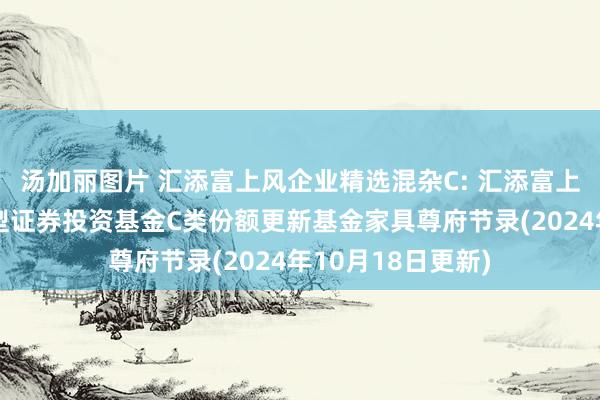 汤加丽图片 汇添富上风企业精选混杂C: 汇添富上风企业精选混杂型证券投资基金C类份额更新基金家具尊府节录(2024年10月18日更新)