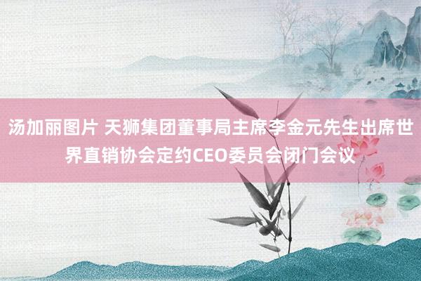 汤加丽图片 天狮集团董事局主席李金元先生出席世界直销协会定约CEO委员会闭门会议