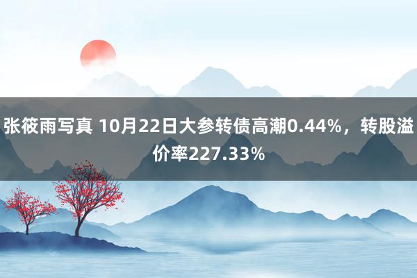 张筱雨写真 10月22日大参转债高潮0.44%，转股溢价率227.33%