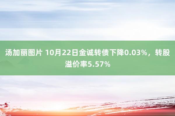 汤加丽图片 10月22日金诚转债下降0.03%，转股溢价率5.57%