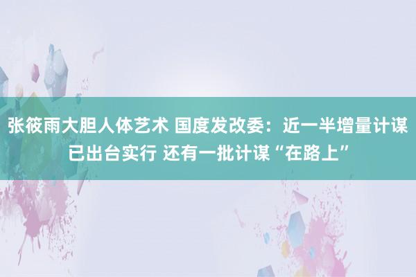 张筱雨大胆人体艺术 国度发改委：近一半增量计谋已出台实行 还有一批计谋“在路上”