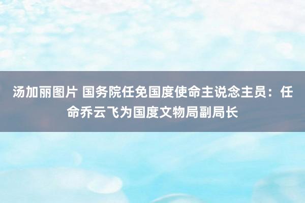 汤加丽图片 国务院任免国度使命主说念主员：任命乔云飞为国度文物局副局长