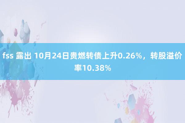 fss 露出 10月24日贵燃转债上升0.26%，转股溢价率10.38%