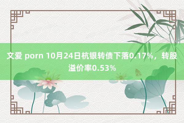 文爱 porn 10月24日杭银转债下落0.17%，转股溢价率0.53%